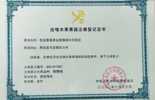 乳酸菌肥料助力獼猴桃品質(zhì)升級(jí)，陜西西安科技成果轉(zhuǎn)化推動(dòng)果業(yè)新發(fā)展