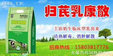 開辟互聯(lián)網(wǎng)新領(lǐng)域 鄭州黑白花生物首次簽約生物技術(shù)推廣服務(wù)