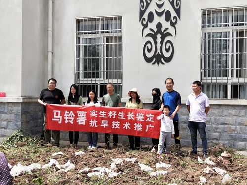 科技特派員服務(wù)團(tuán)深入昭覺布拖，助力馬鈴薯產(chǎn)業(yè)振興